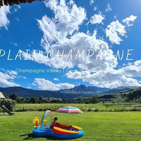 Plain Champagne Guest Farm, Champagne Valley Villa Winterton Esterno foto